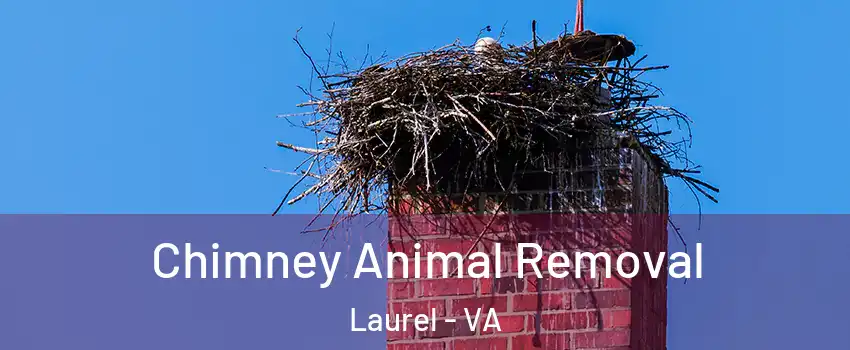 Chimney Animal Removal Laurel - VA