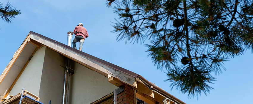 Birds Removal Contractors from Chimney in Laurel, VA